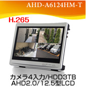 AHD-A6124HM-T